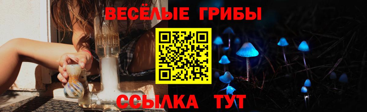 Галлюциногенные грибы GOLDEN TEACHER Ачинск